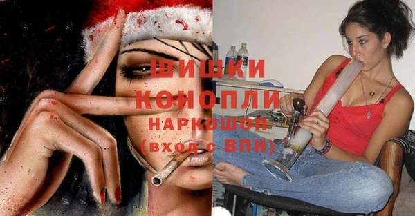 гидра Волоколамск