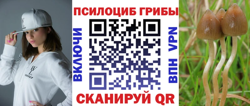 KRAKEN как зайти  Ялта  Галлюциногенные грибы MAGIC MUSHROOMS 